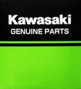Kawasaki 2018-2023 Z900RS/Z900RS SE/Z900RS CAFE Indicator Cover Silver 999941016 7425