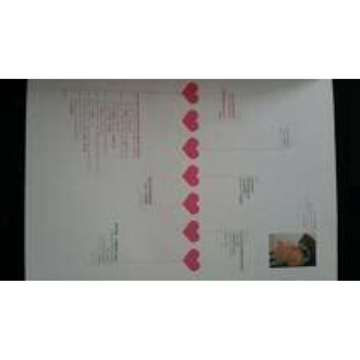hide DAYS Musician's Book Interview Equipment Used Guitar Introduction Guitar Chords Band Score Sheet Music CD Included First Edition Out of Print