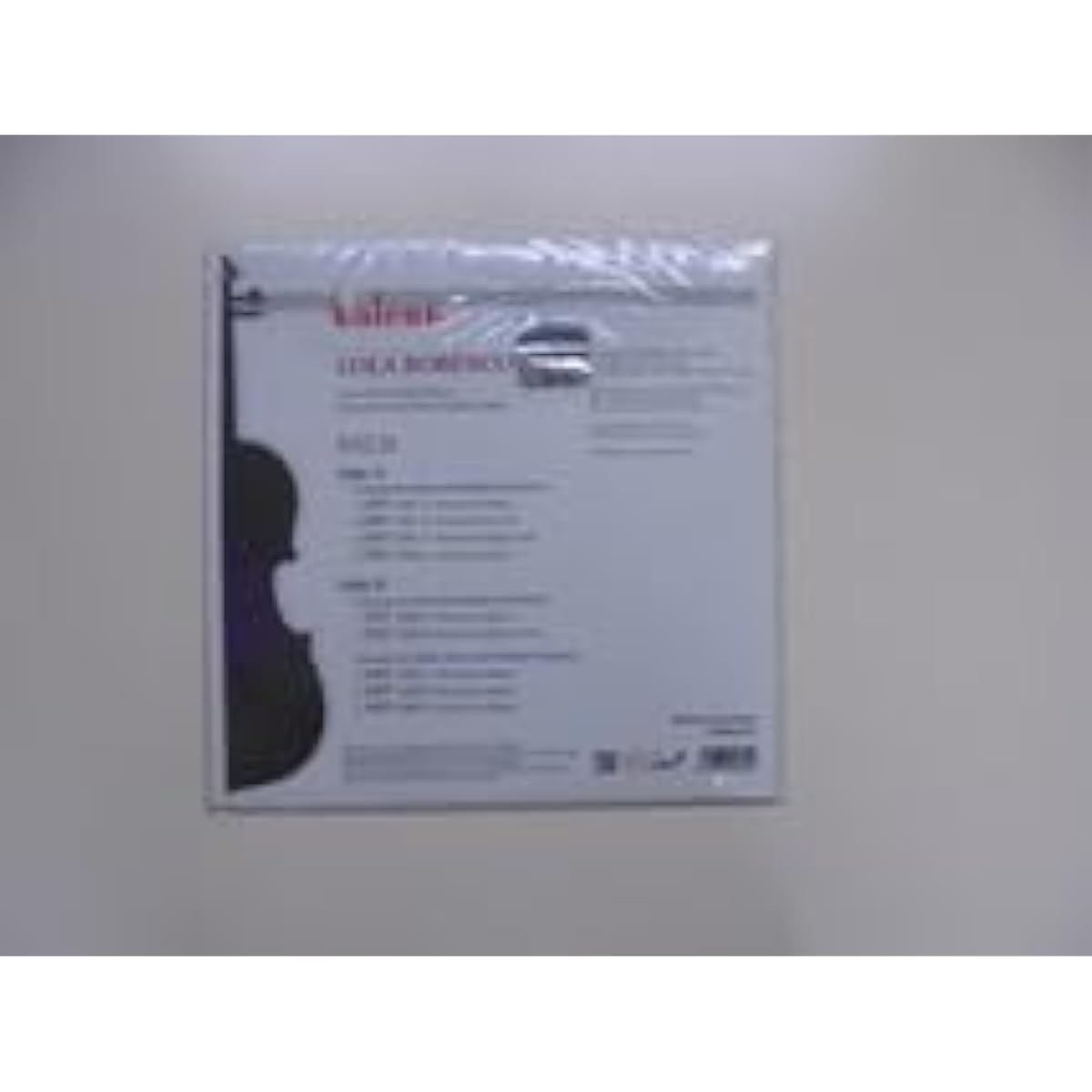 Bobesco Bach Violin Concerto