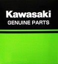 Kawasaki 2022 Z900RS/Z900RS SE/Z900RS 50th Anniversary Indicator Cover Silver Genuine Accessory 999941016