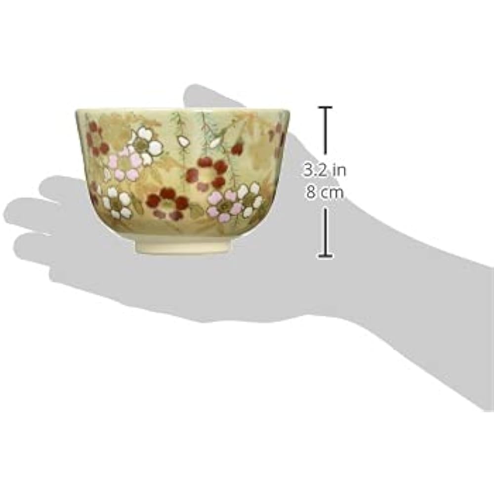 Kyoto ware Kiyomizu ware Nyozan kiln Matcha bowl (in wooden box) Willow and cherry blossoms TJY457