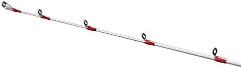 SHIMANO rod boat rod 19 Takoegi BB