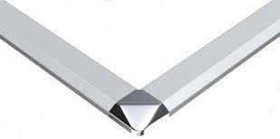 Platinum Fountain Pen Panel Frame Akepane 20mm A1 Silver/Chrome ADA1-S・C20