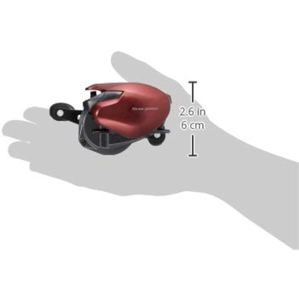 SHIMANO Bait Reel Double Axis 19 Scorpion MGL 150 Right Bass Fishing Rock Fish