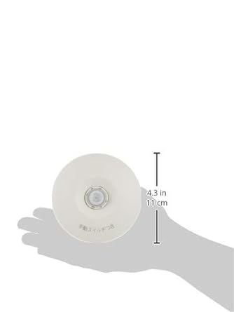 Panasonic Ceiling Mounted Automatic Switch with Heat Wire Sensor (Main Device/WTK248128
