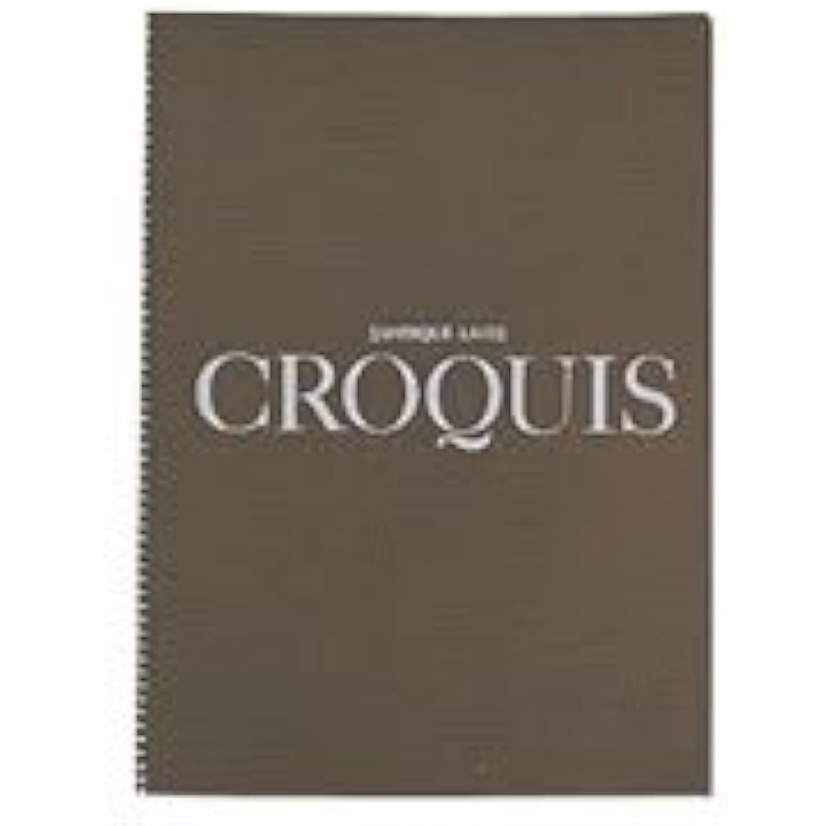 Maruman Sketchbook Antique Raid Paper A4 (292 x 205mm) 50 sheets S238 / 10 sets