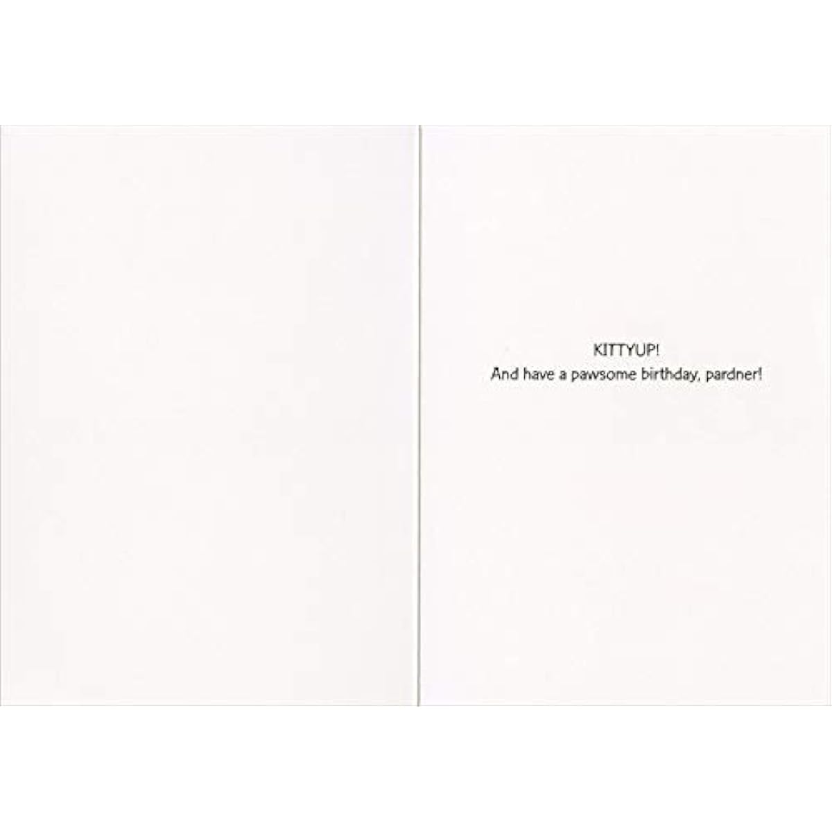 Designer Greetings Cowboy Cat Horse Riding Little White Pony Funny/Humorous Birthday Card