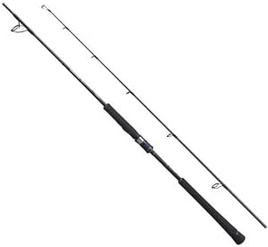 SHIMANO Jigging Rod 20 Game Type J Spinning Model Various