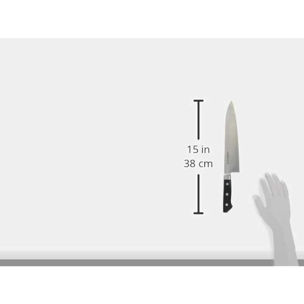 EBM Aoki Hamono Seisakusho Takayuki Sakai (Japanese steel, with brim) Gyuto 24cm 15013