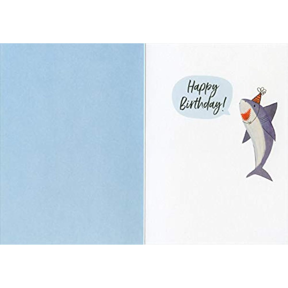 Designer Greetings Ha Ha : Shark Week Taunt Funny/Humor Birthday Cards