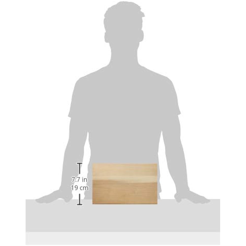 Kaneko Sogyo Cutting Board (Papered) M with Coating Pak Japan AMNK502