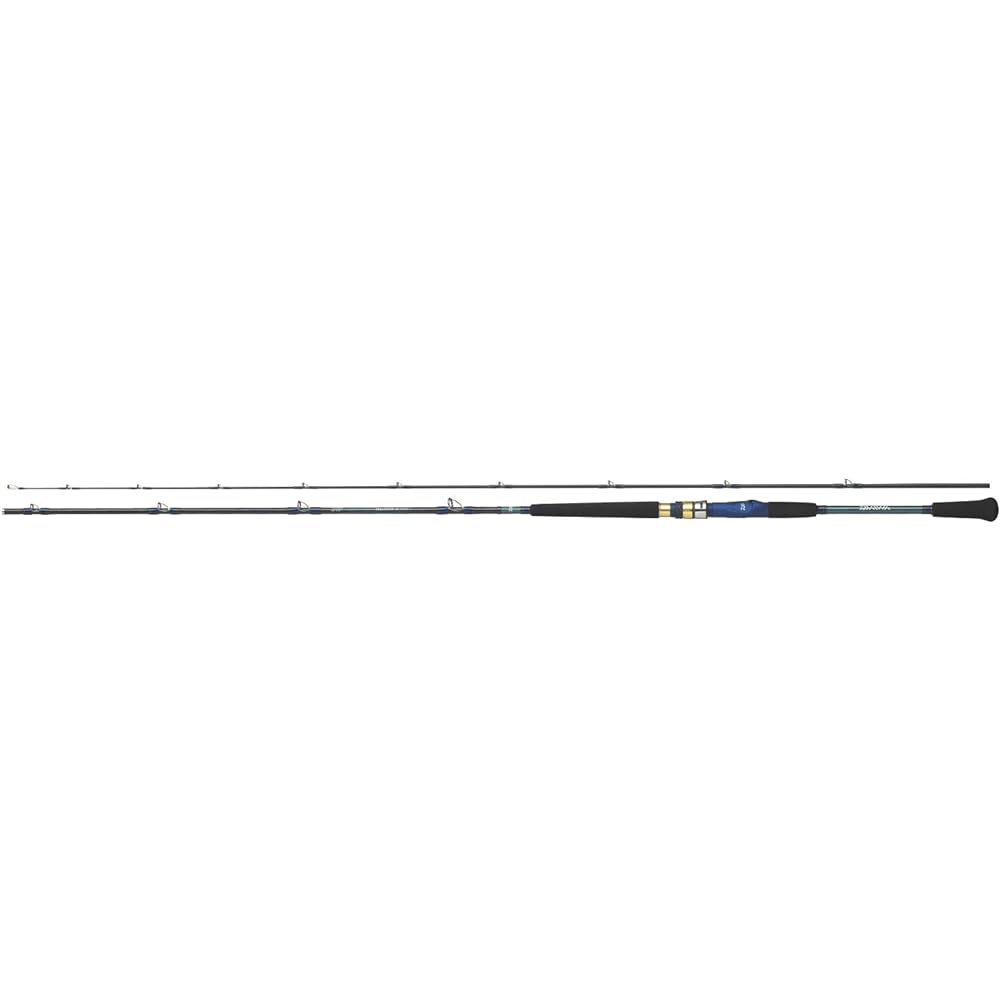 DAIWA Standard Boat Rod / Parallel / 6:4 Tone Analystar 64 No. 50 ~ No. 100