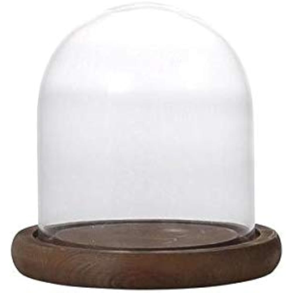 Dalton Display Supplies Glass Dome S Size GLASS DOME SG1945-1WS
