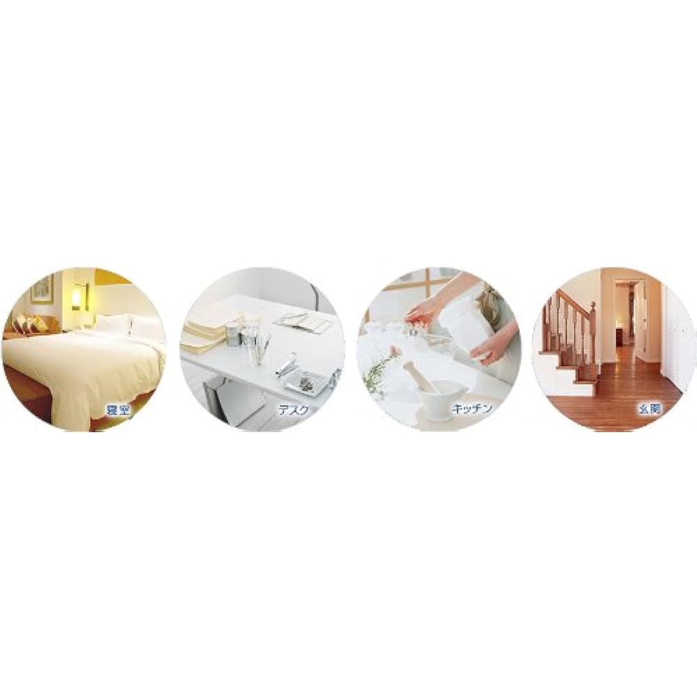 SANYO Small Space Purifier Virus Washer VWP-MF10A(L)