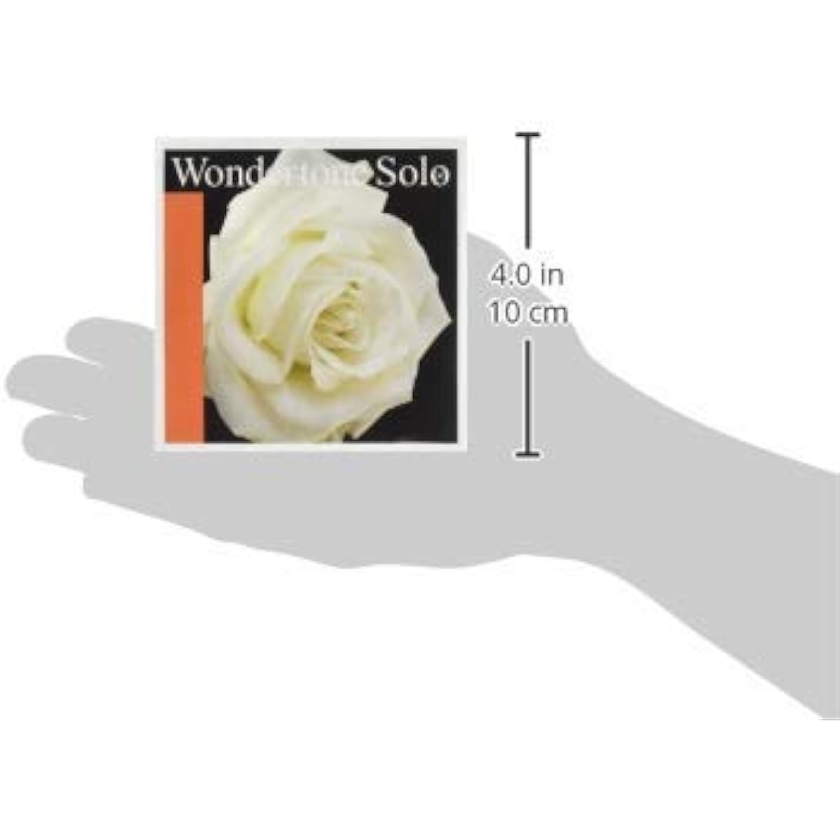 PIRASTRO Wondertone Solo Wondertone Solo Violin 4-String Set (E string: Silvery Steel Loop End)