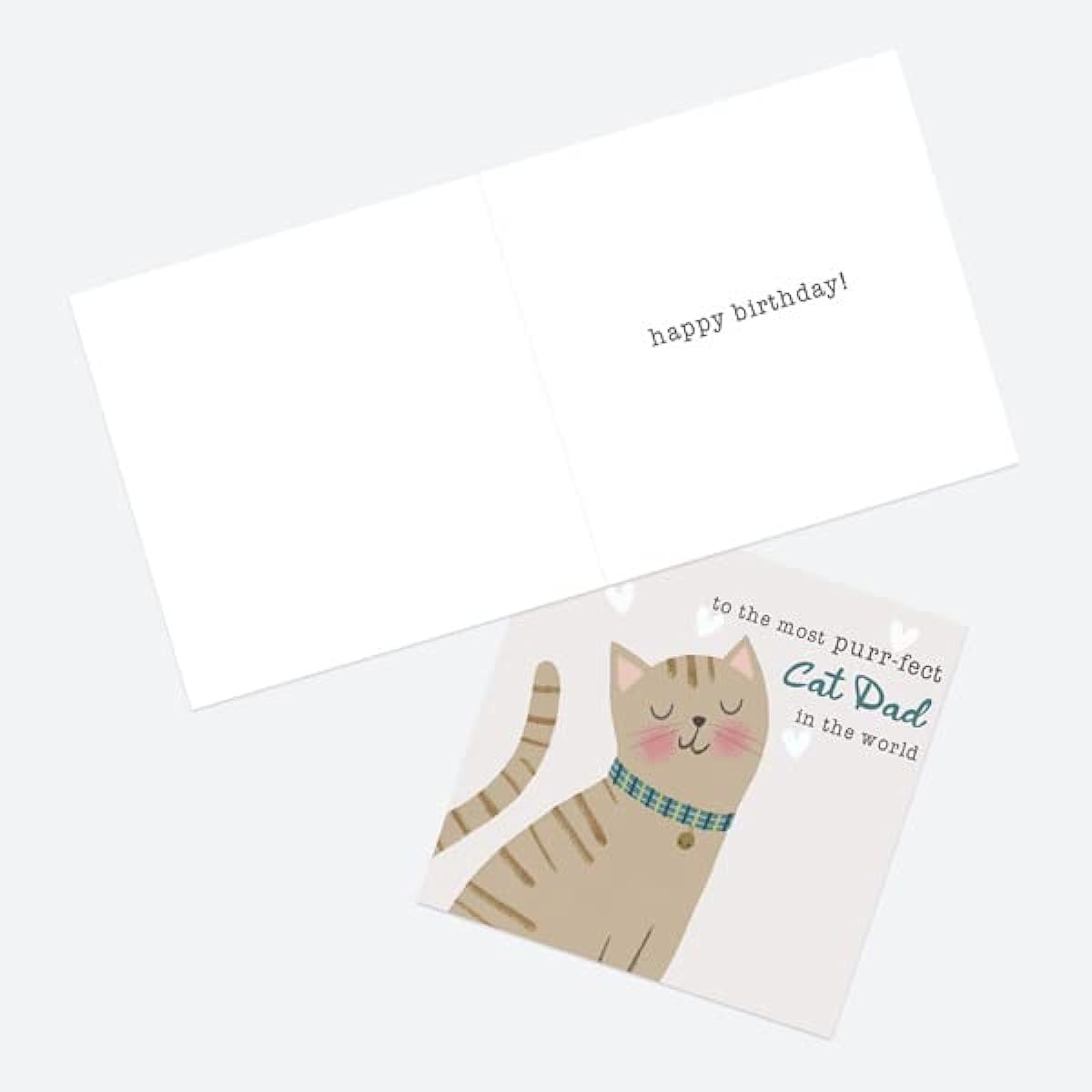 Dotty about Paper Dad Birthday Card - Cat Dad (4441)
