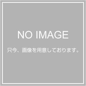 Panasonic Earth Leakage Breaker BJW-30 Type 2P2E with OC 15A 30mA Motor Protection BJW2153