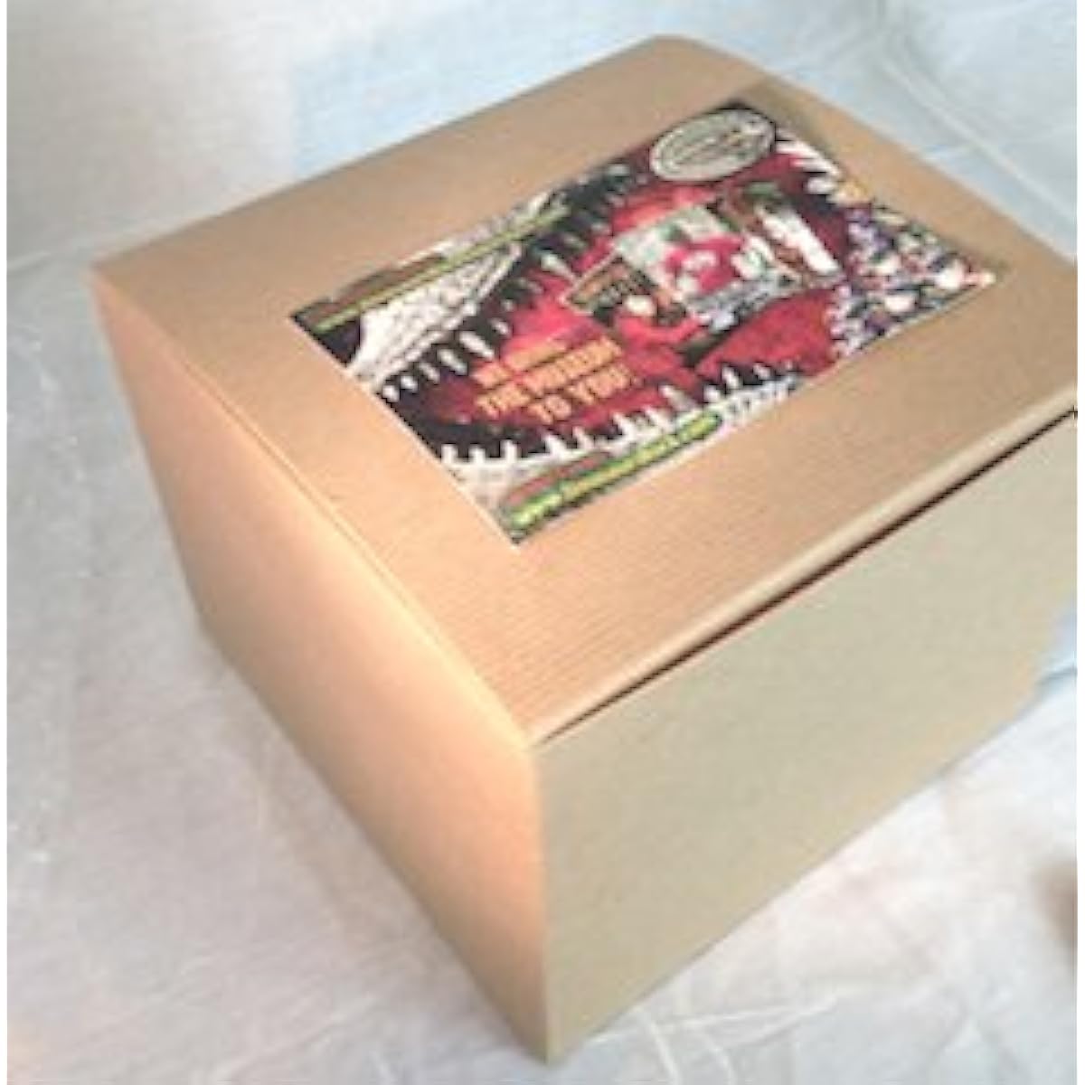 DINOSAURS ROCK MINERAL COLLECTION GIFT PACK WITH BONUS TREASURE CHEST AND ID CHART - LIMITED TO 20+ PIECES!