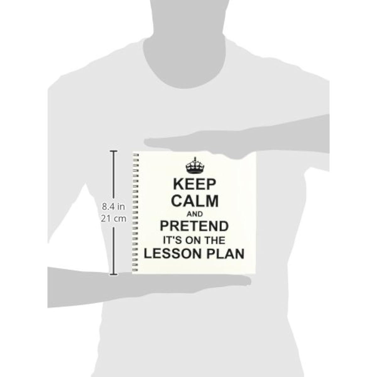 3dRose InspirationzStore Typography - Keep Calm and Pretend Its on The Lesson Plan - Funny Teacher Gift - Teaching Humor - Drawing Book 8x8 drawing book db_157780_1