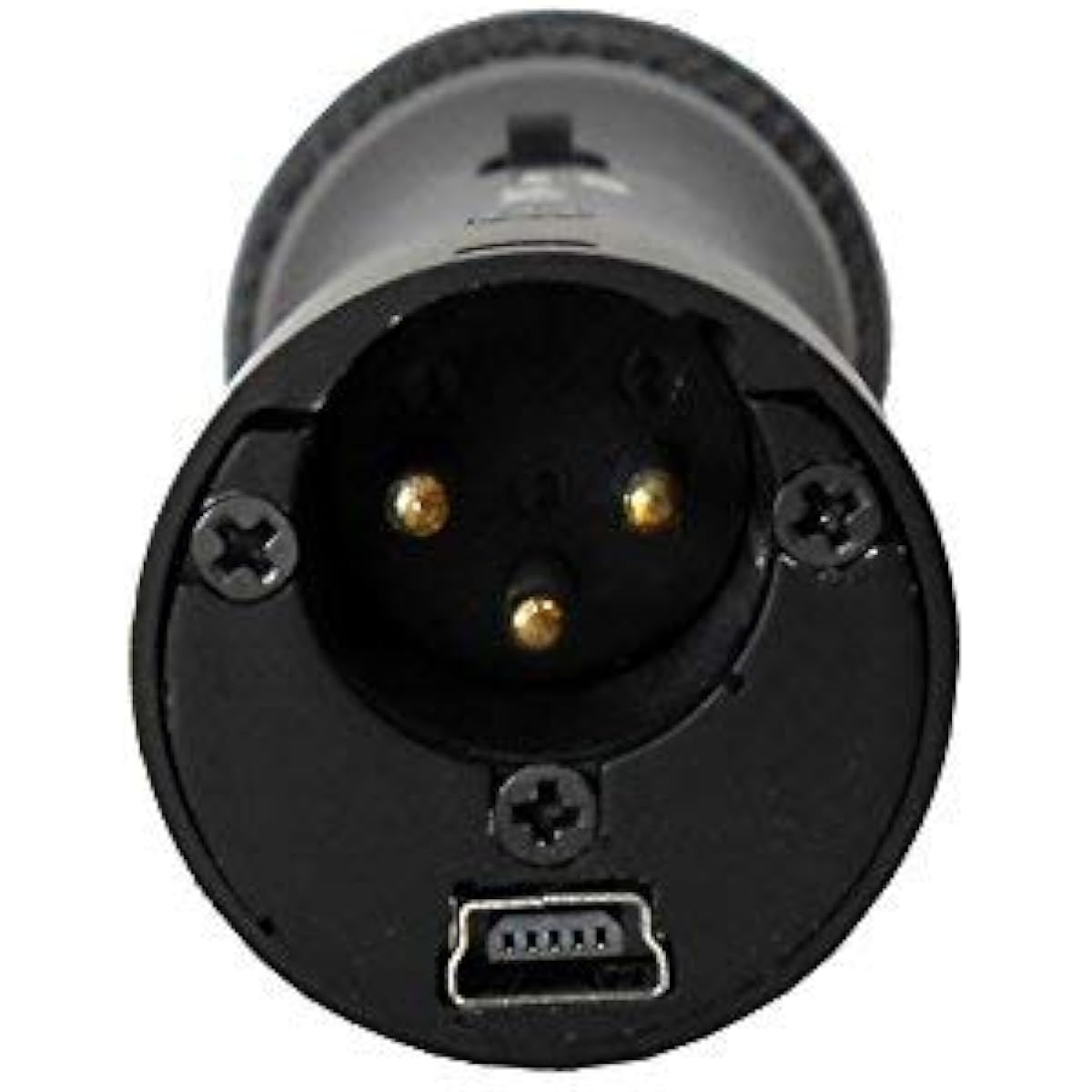 Audio 2000S S106A Professional USB Unidirectional Dynamic Microphone with Built-in USB and XLR Outputs, 1 USB-XLR Cable, Carry Case Included