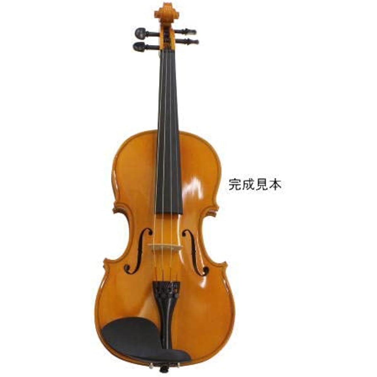 Violin Kit V-KIT-1