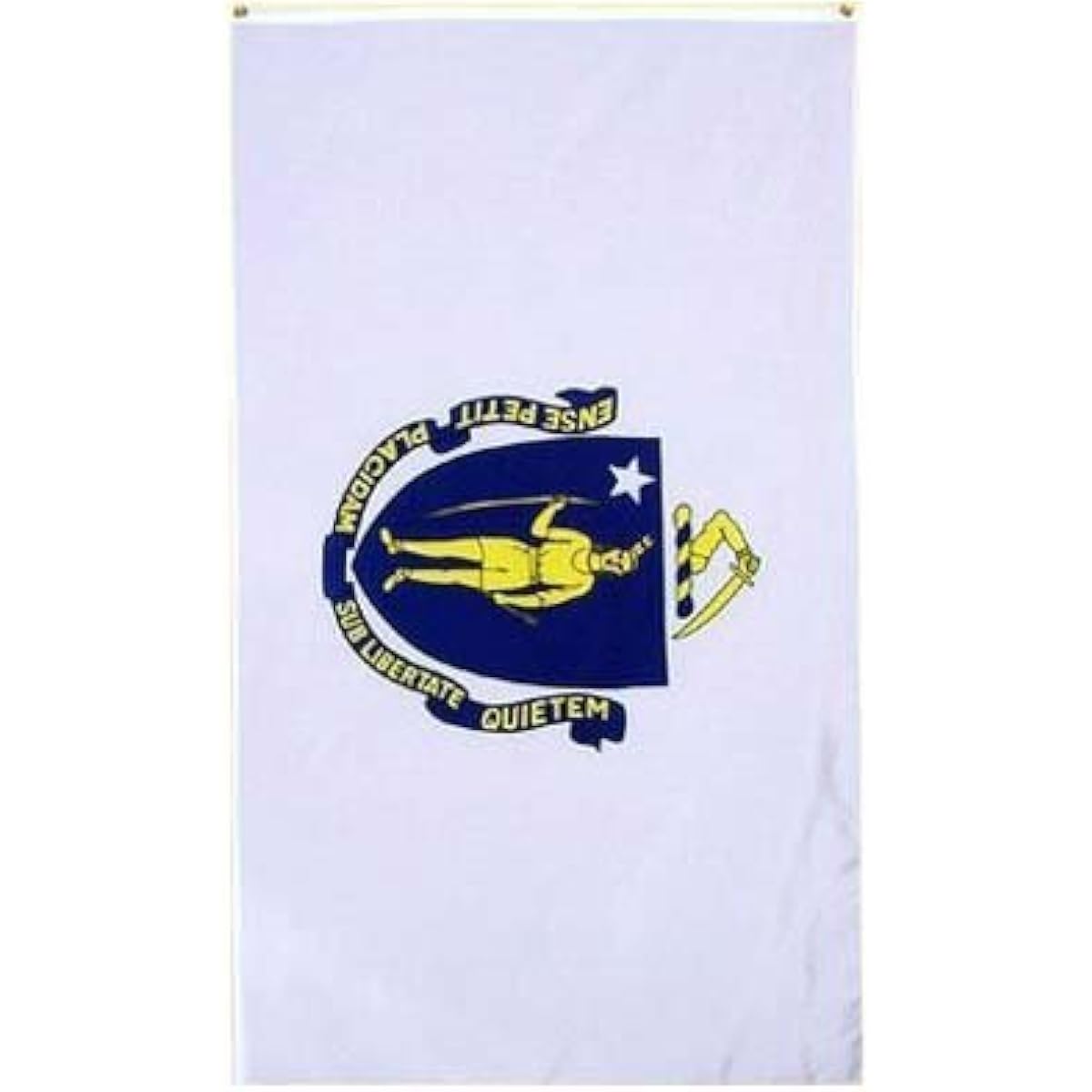 NationalCountryFlags 3x5 Massachusetts State Flag United States American Flag