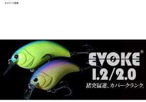 deps/depth EVOKE/Evoke 2.0