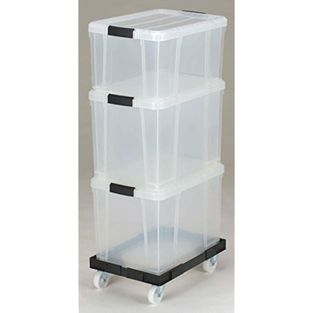 Squirrel Storage Case W&W NEW Sophia Box S-02D Clear Set of 4