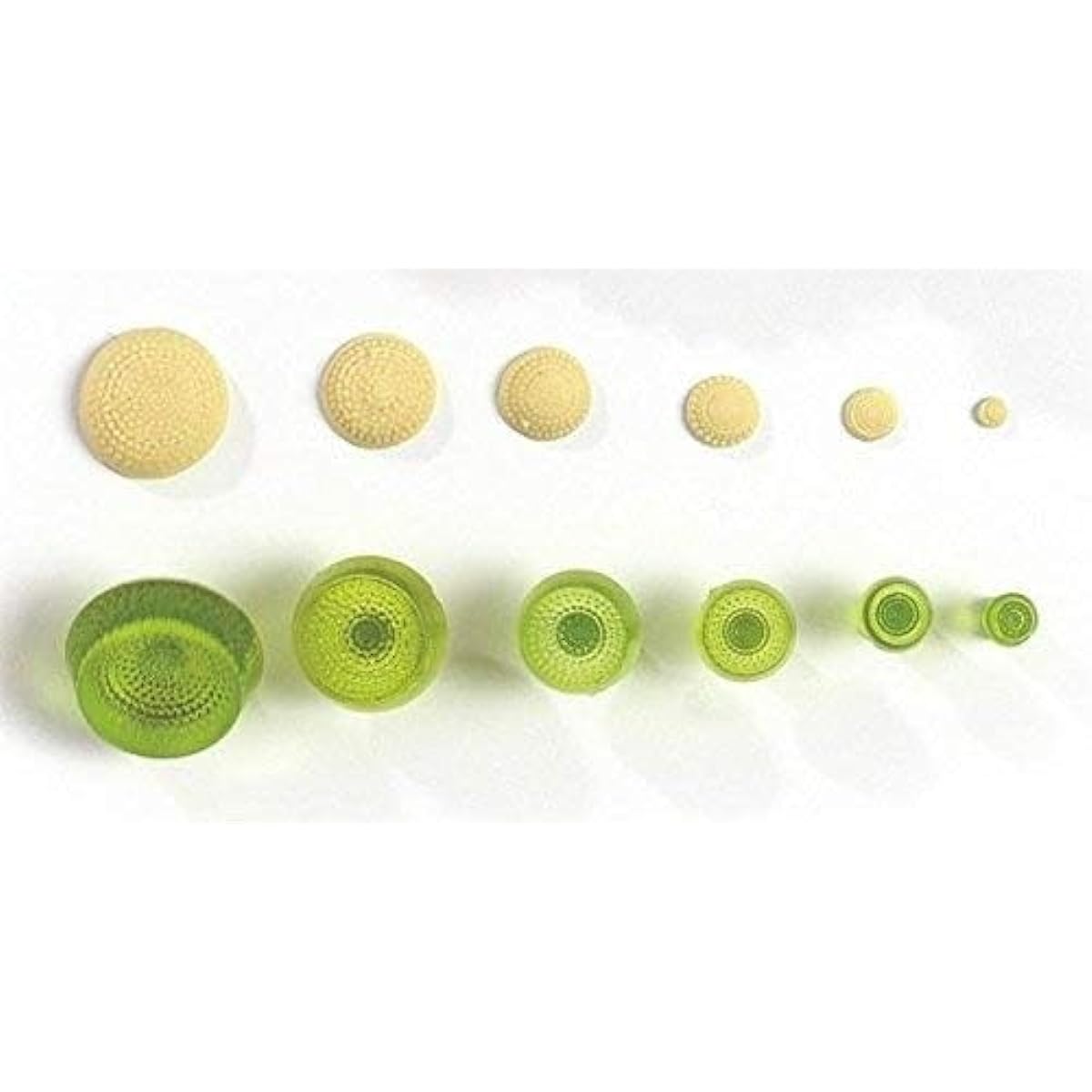 Daisy Centre Stamps 6 Piece Set