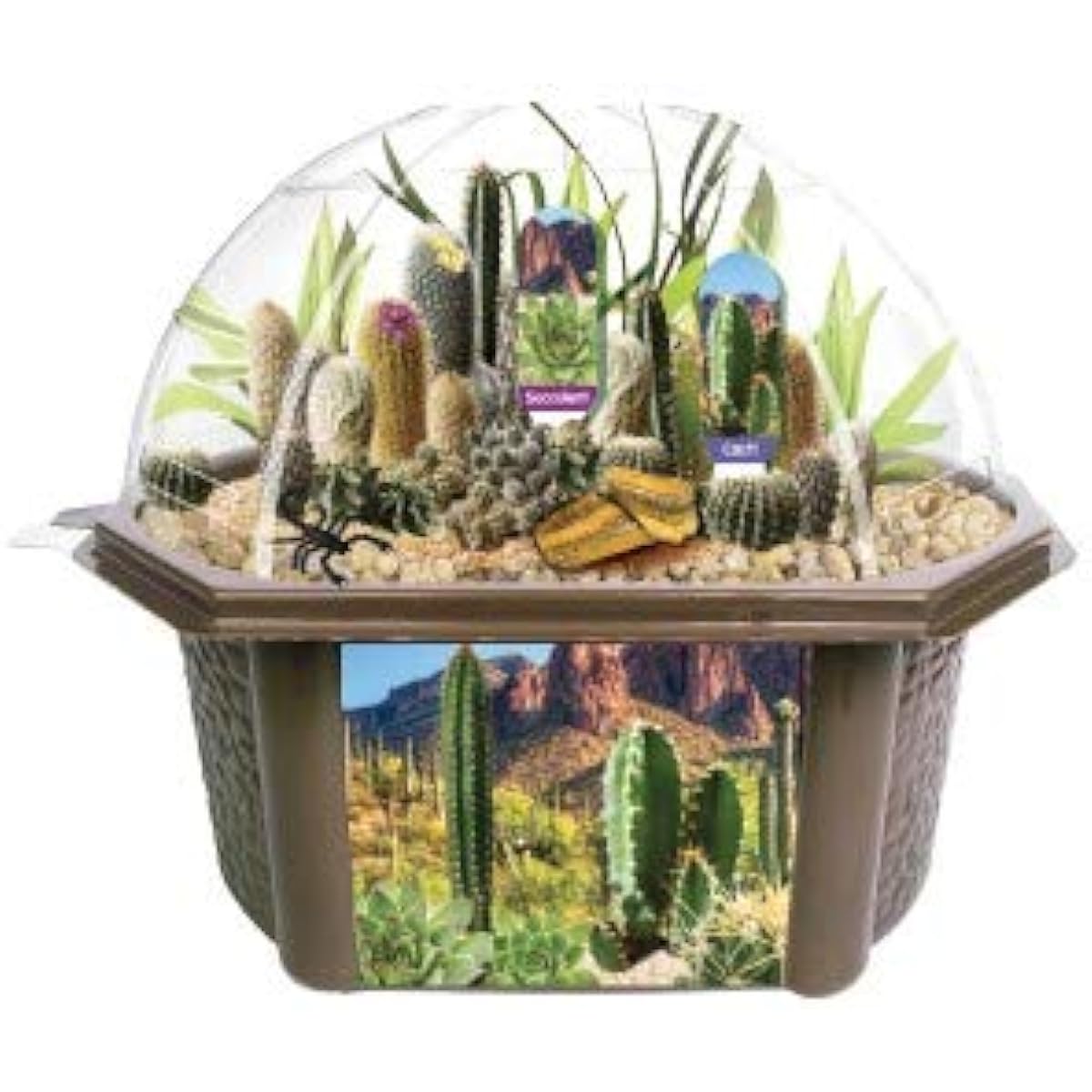 Toys By Nature Biosphere Terrarium - Desert Dome