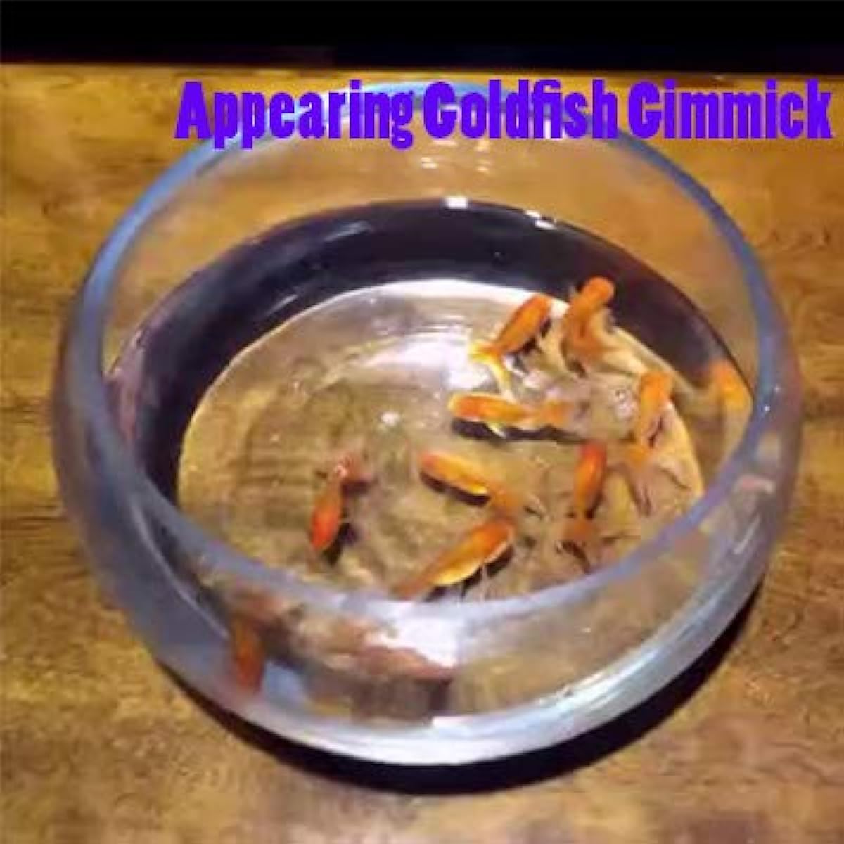 Doowops Appearing Goldfish Gimmick Metal Magic Trick Fish Appearing Magic