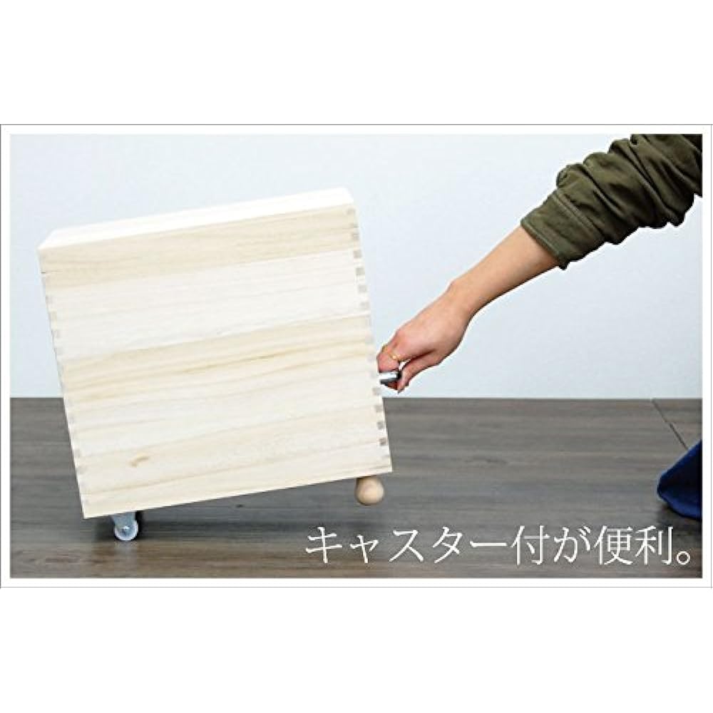 Ibuki Bussan Rice Keeper Kiri Rice Box 10kg Technical Specialty