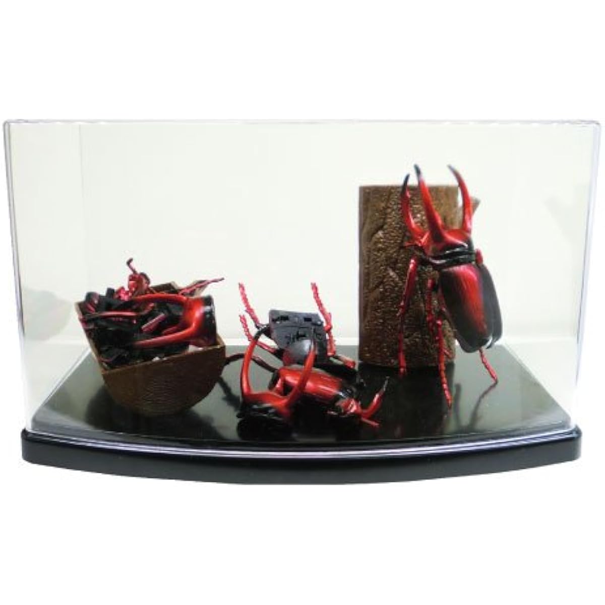 4D Puzzle Insect DX 20 pieces BOX