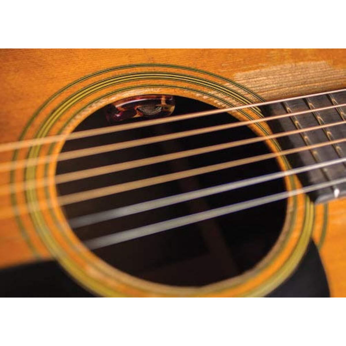 L.R.Baggs ◆ LYRIC ◆ Standard acoustic guitar pickup/mic system "parallel import product"