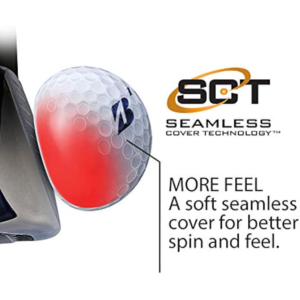 Bridgestone e6 golf balls (1 dozen)