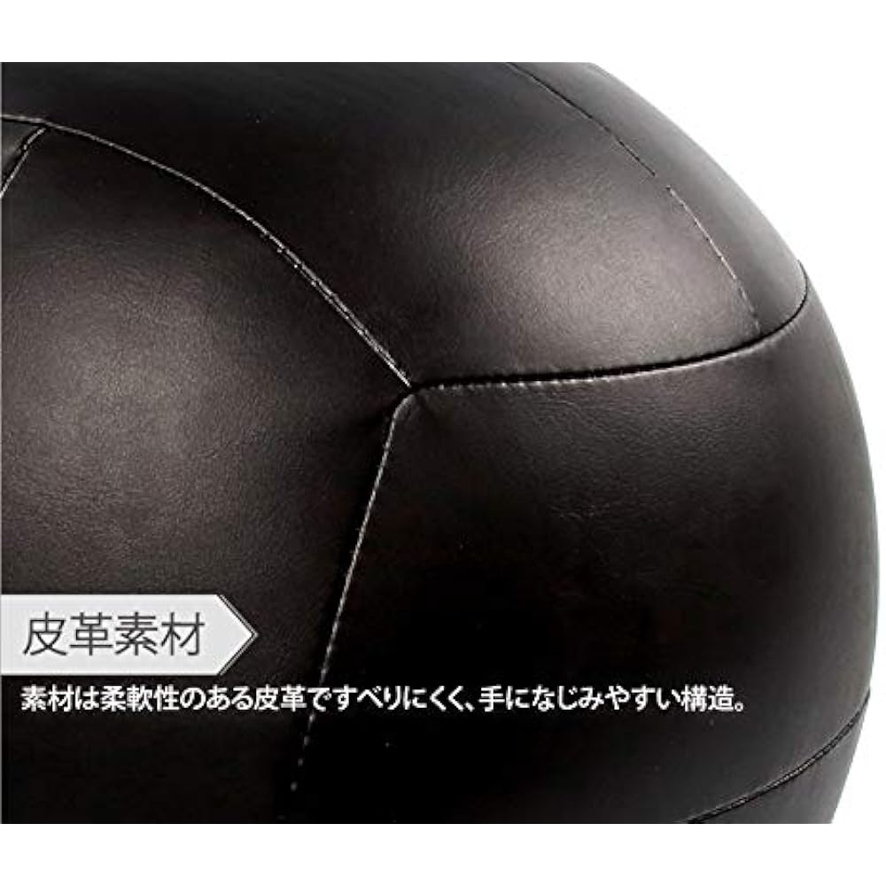 Absport Medicine Ball (for Wall)