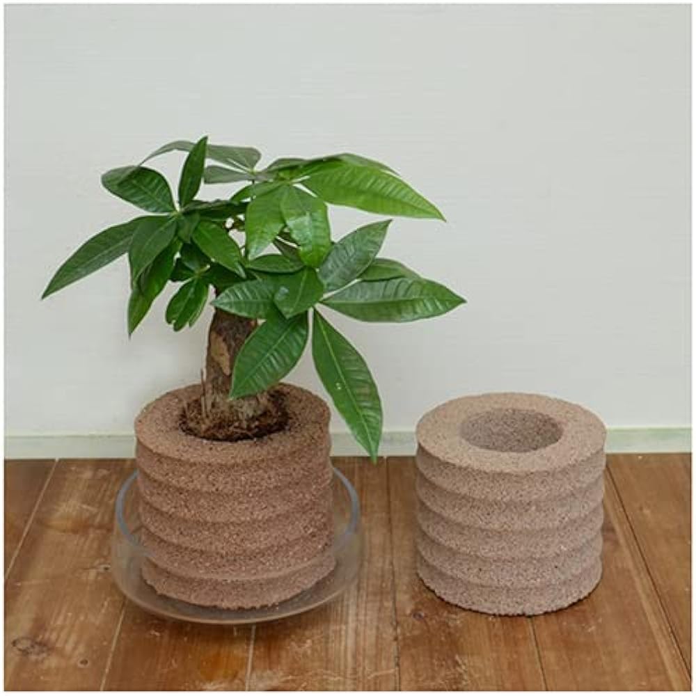 HACHI Aqua Plant Pot Circle Antibacterial L Black Gardening Flowerpot to Store Water