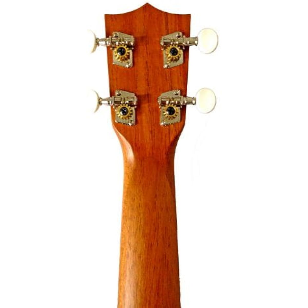 Famous Ukulele FS-1G