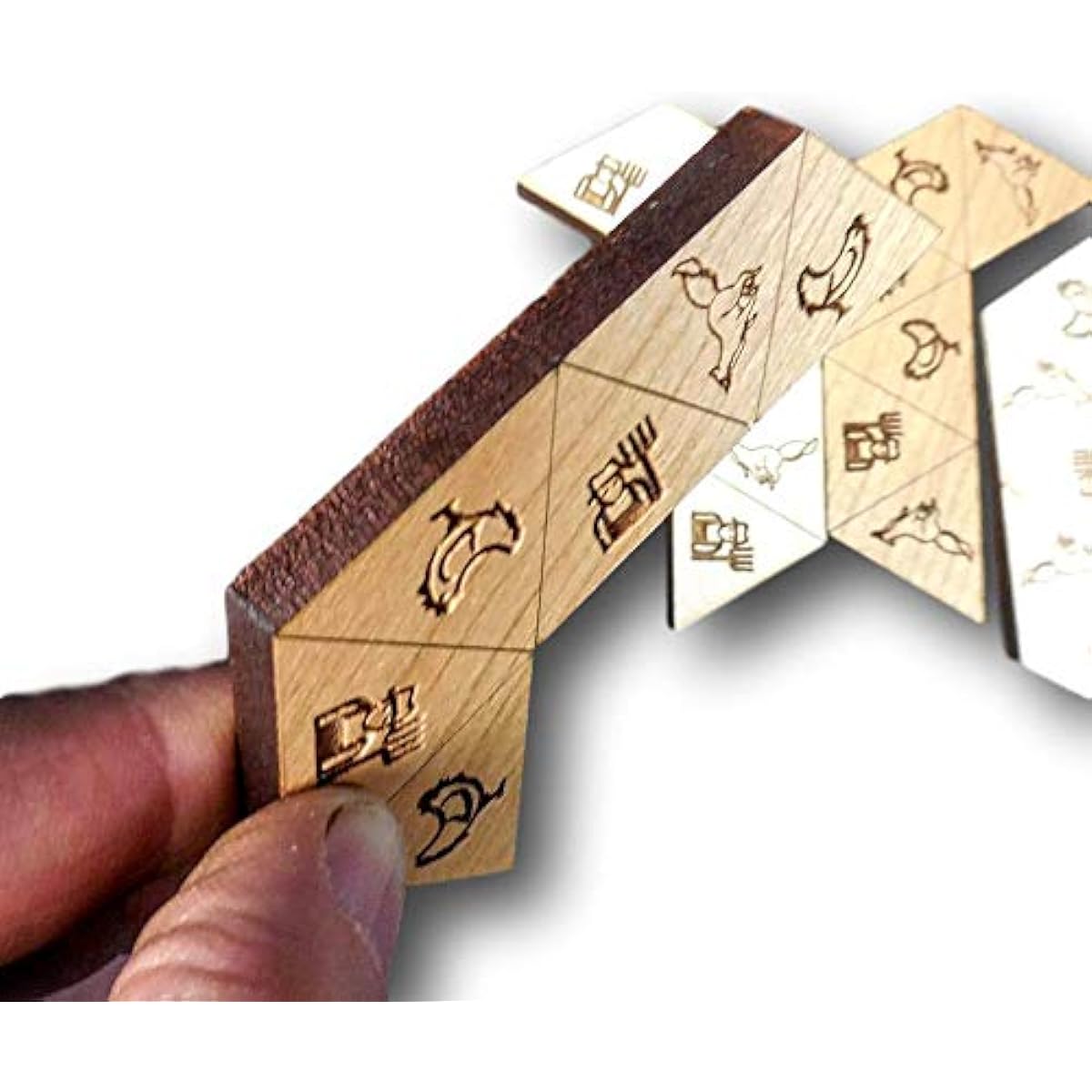Foxagon Puzzle - Will it take 4 minutes or 4 months? Designed by Col. George Sicherman