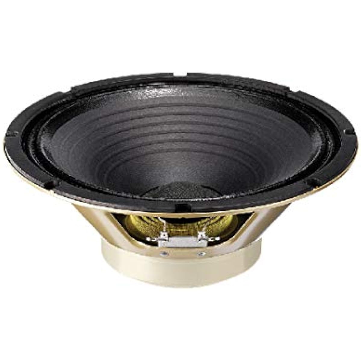 CELESTION G10 Creamback 16Ω Guitar Amplifier Speaker Unit