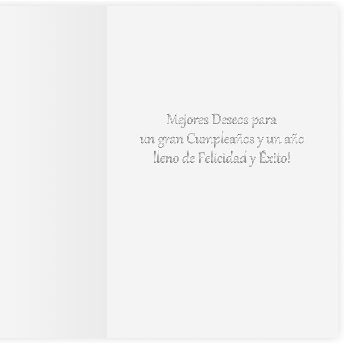 The Gallery Collection 25 Feliz Birthday Exclamation Cards in Spanish with Foil Lined Envelopes for Business or Consumer Use