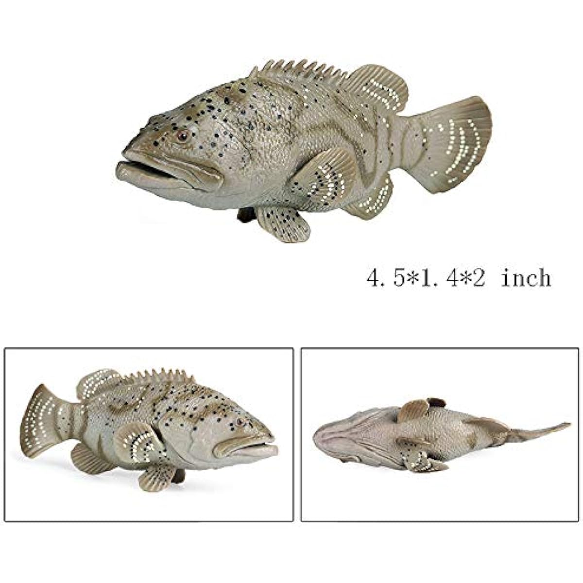 Hiawbon Miniature Fish Figures 6 Piece Set Mini Animal Models Realistic Plastic Animal Models