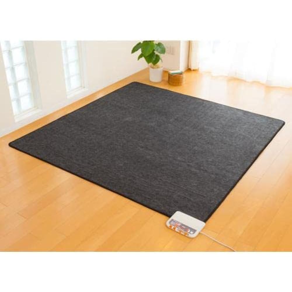 Zenken 99% electromagnetic wave cut electric hot carpet ZCB-10P (1 tatami body)