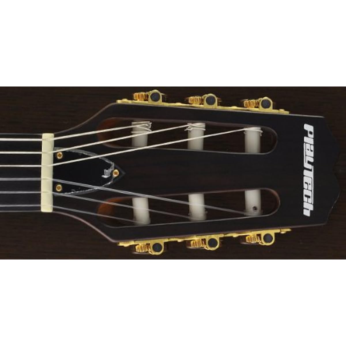 PLAYTECH Electric Gut Guitar EC800