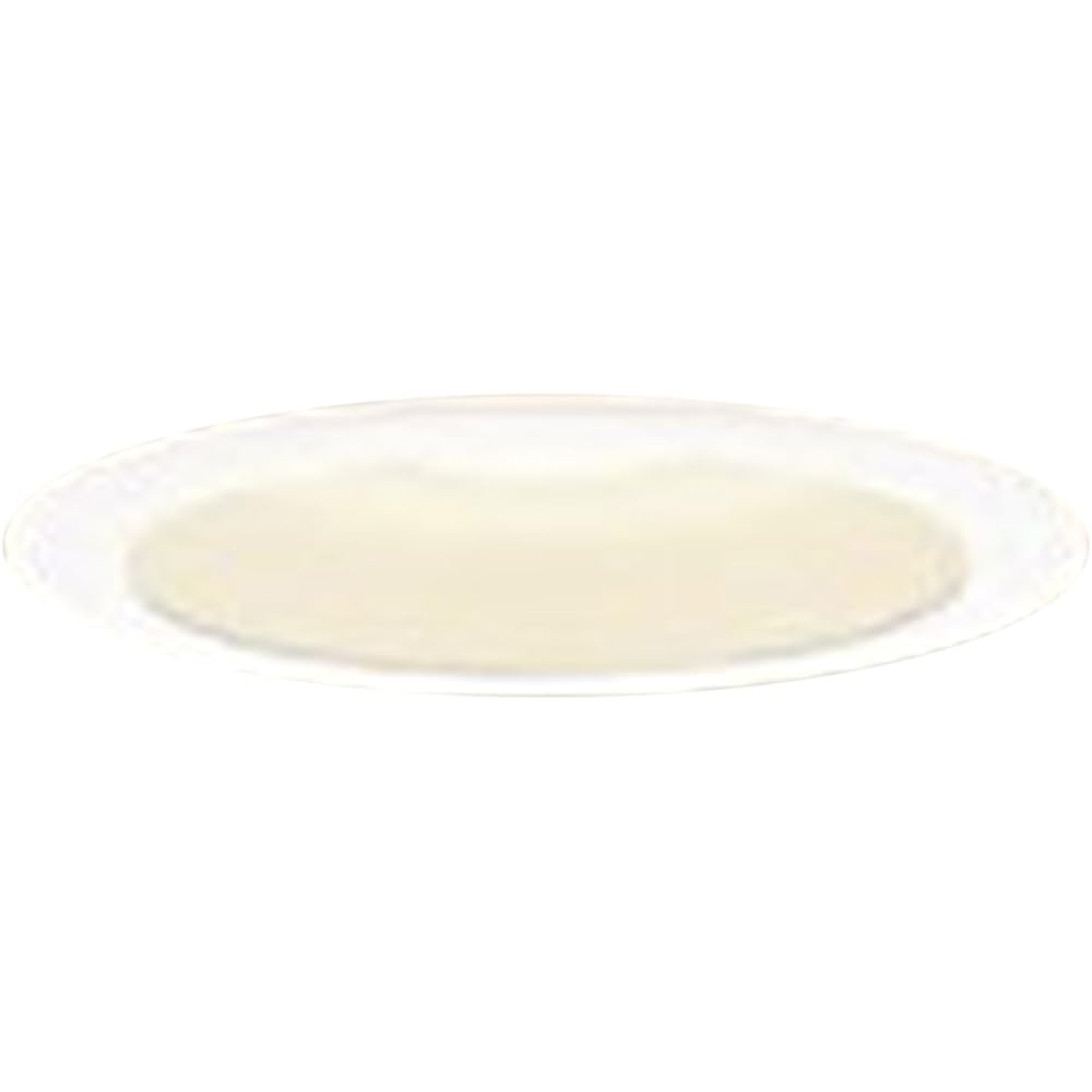 Panasonic LED downlight 100 type diffused warm white LGB74306LB1