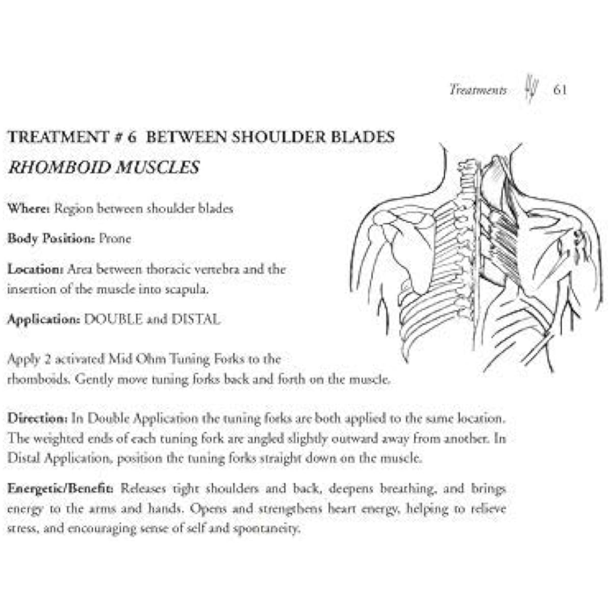 Ohm Therapeutics How to use OHM Tuning Forks for Vibrational Healing Bodyworkers/Energy Practitioners/Sound Therapists