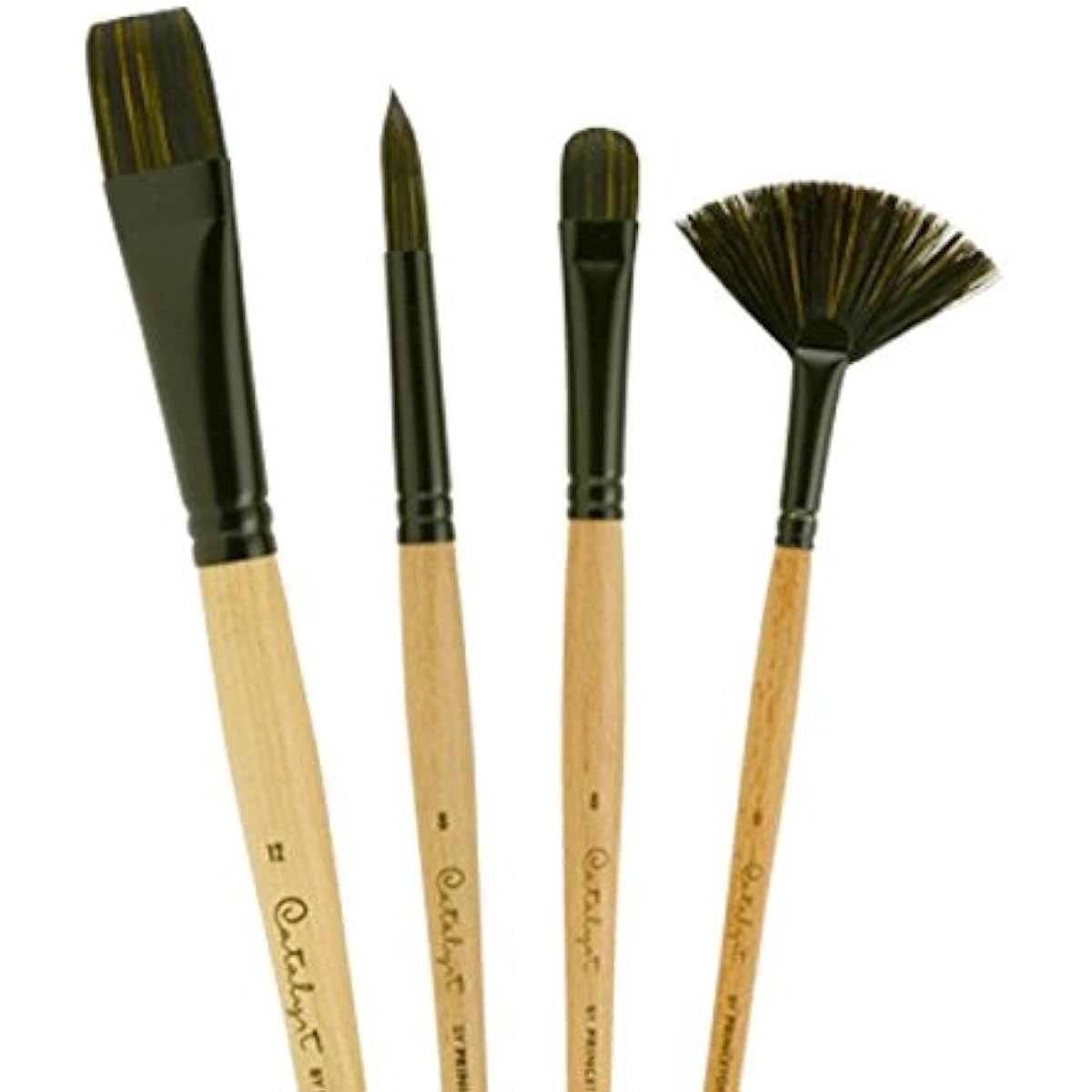 Pab Catalyst Polytip Brush Set 6403 5-Pc Set by Hyatt's