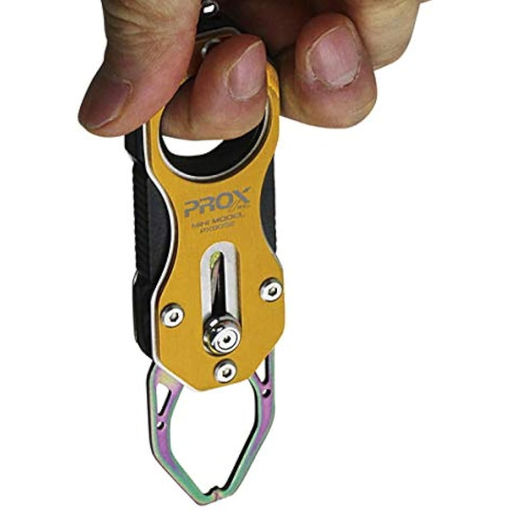 PROX Fish Catcher R