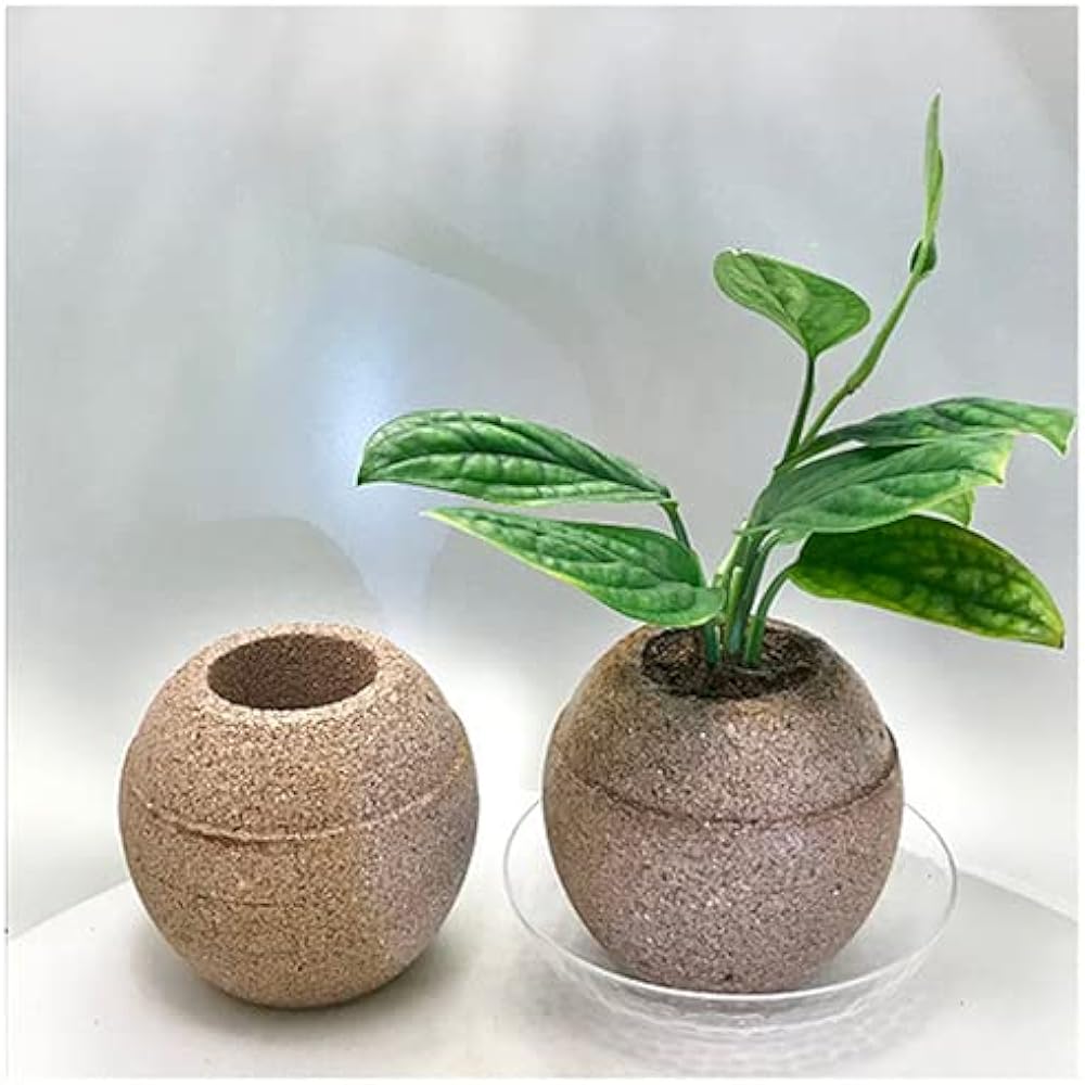 HACHI Aqua Plant Pot Ball Antibacterial L Black Gardening Flowerpot to Store Water