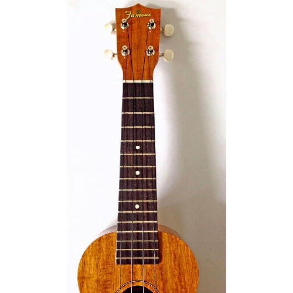 Famous Ukulele FS-5G